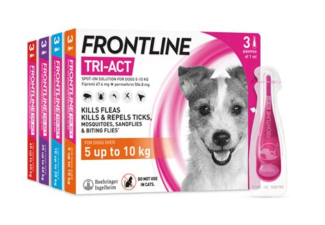 FRONTLINE .